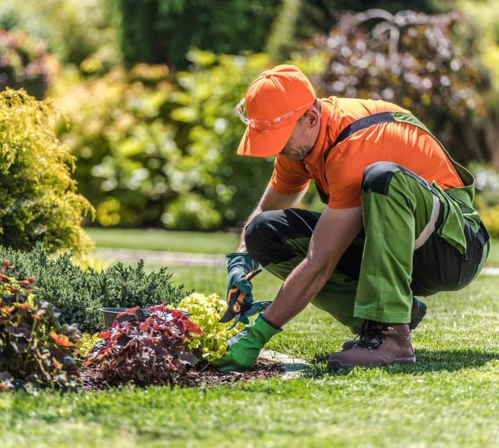 Aménagement et embellissement de jardins